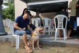 'Temos muitos animais que estão necessitando', diz tutor de pet sobre o trabalho do ‘Castramóvel’ em 2024
