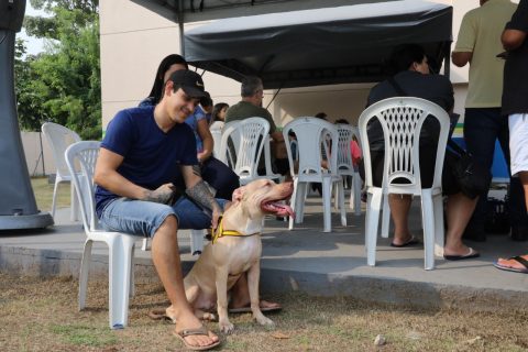 'Temos muitos animais que estão necessitando', diz tutor de pet sobre o trabalho do ‘Castramóvel’ em 2024