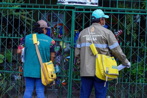 Doze zonas estão em risco para infecção de Dengue em Manaus