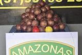 Criminosos tentam disfarçar drogas como cebolas em Santo Antônio do Içá