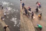Cardumes são pescados nas águas rasas do Miriti, em Manacapuru. Veja vídeo
