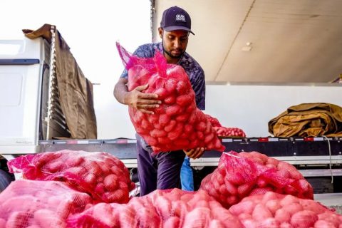 Conab registra queda de preço da batata e alta da cebola e tomate