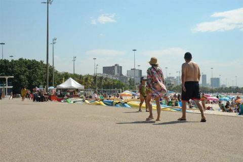 Turistas internacionais que chegam ao país têm empregos formais em sua maioria