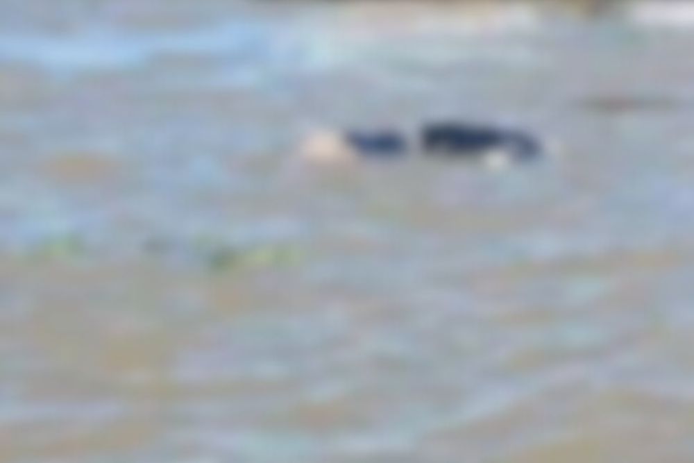 Homem é encontrado morto às margens de rio no interior do AM Homem é encontrado morto às margens de rio no interior do AM