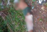 Homem é executado a tiros na Zona Leste de Manaus