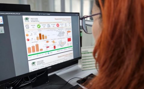 Amazonas registra 77 casos de esporotricose humana em janeiro