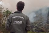 Fiscalizações ambientais do Ipaam crescem 281,38% com foco no combate ao desmatamento