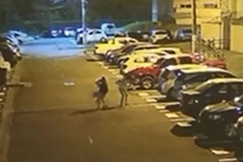 Mulheres são atacadas por pitbull em condomínio da zona Norte de Manaus Mulheres são atacadas por pitbull em condomínio da zona Norte de Manaus