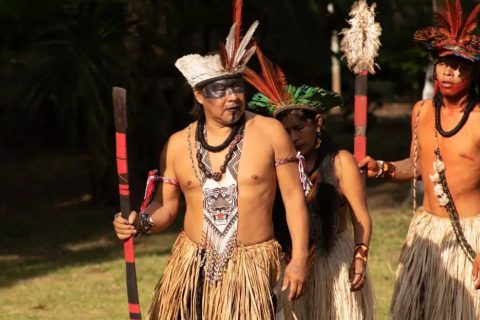 Inscrições abertas para edital de curtas sobre Amazônia