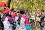 Educação ambiental aproxima estudantes do maior manguezal do planeta