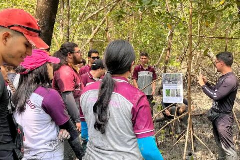 Educação ambiental aproxima estudantes do maior manguezal do planeta