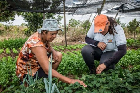 Programa Terra da Gente: Governo Federal entrega mais de 12 mil lotes em 24 estados