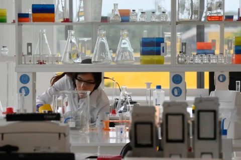 Senai atenderá 10,8 mil micro, pequenas e médias indústrias em 2025
