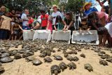 Mais de 4,9 mil quelônios são devolvidos à natureza na Reserva de Desenvolvimento Sustentável Igapó-Açu