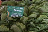 Amazonas prorroga inscrições para o PAA até 20 de fevereiro