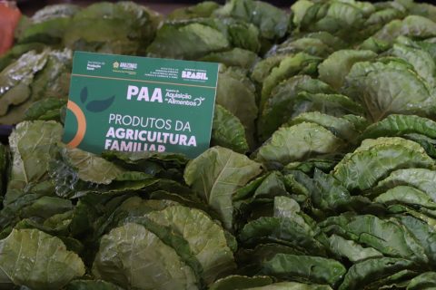 Amazonas prorroga inscrições para o PAA até 20 de fevereiro