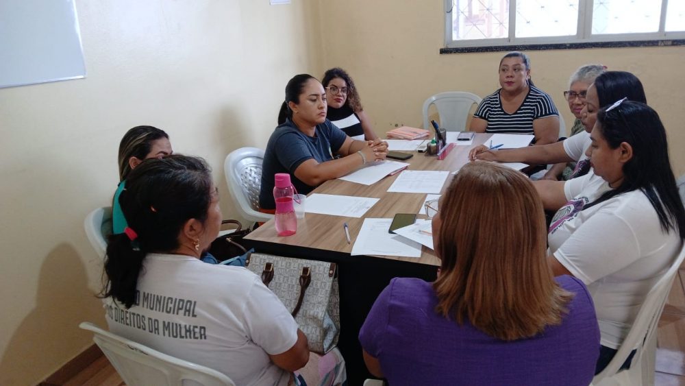 Defensoria do Amazonas e Conselho Municipal dos Direitos da Mulher alinham ações em Tefé Defensoria do Amazonas e Conselho Municipal dos Direitos da Mulher alinham ações em Tefé