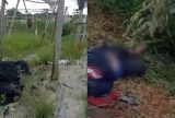 Homem é encontrado morto com sinais de violência em horta na Zona Leste de Manaus