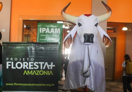 Projeto Floresta + Amazônia: Boi Garantido reforça compromisso ambiental e apoia agricultores na defesa do ecossistema