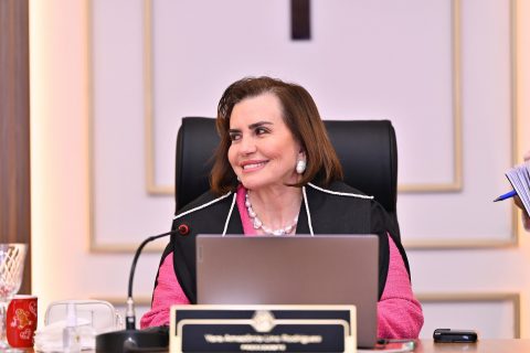 Tribunais de Contas e o futuro da Amazônia: O TCE-AM na indução de políticas públicas ambientais