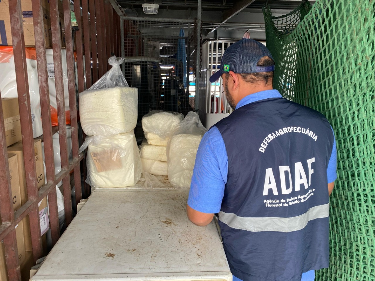 Adaf apreende 85 quilos de queijo clandestino em Tefé Adaf apreende 85 quilos de queijo clandestino em Tefé