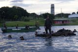 Quer seguir carreira militar? Saiba como virar um Fuzileiro Naval