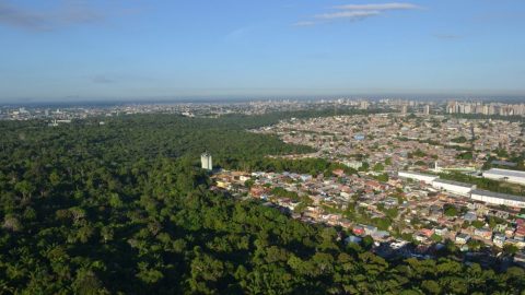 Cinturão Verde: Defensoria Pública promove debates sobre questões fundiárias e meio ambiente em Manaus