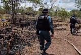 População apoia reintegração de posse e cobra fim da indústria de invasões em Parintins