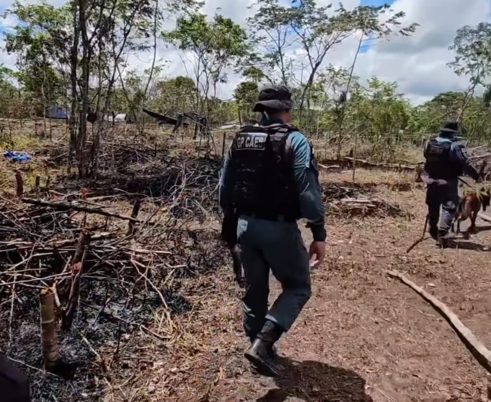 População apoia reintegração de posse e cobra fim da indústria de invasões em Parintins População apoia reintegração de posse e cobra fim da indústria de invasões em Parintins