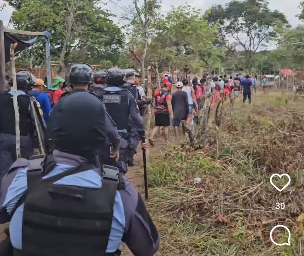 Dona de terreno denuncia ameaças e devastação ambiental após invasão em Parintins Dona de terreno denuncia ameaças e devastação ambiental após invasão em Parintins