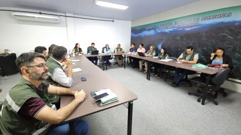 Conselho Consultivo valida prestação de contas da FVS-RCP de 2024