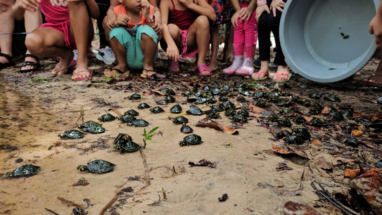 RDS Puranga conquista devolve 250 quel&ocirc;nios &agrave; natureza na comunidade Bela Vista do Jaraqui