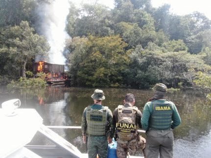 Operação Xapiri intensifica combate ao garimpo ilegal no Rio Madeira