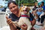 Castramóvel atende o bairro Colônia Terra Nova com castração gratuita