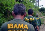Ibama e Fundação Bunge firmam parceria para fortalecer brigadas indígenas contra incêndios florestais