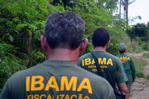Ibama e Fundação Bunge firmam parceria para fortalecer brigadas indígenas contra incêndios florestais