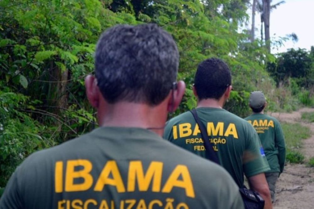 Ibama e Fundação Bunge firmam parceria para fortalecer brigadas indígenas contra incêndios florestais Ibama e Fundação Bunge firmam parceria para fortalecer brigadas indígenas contra incêndios florestais