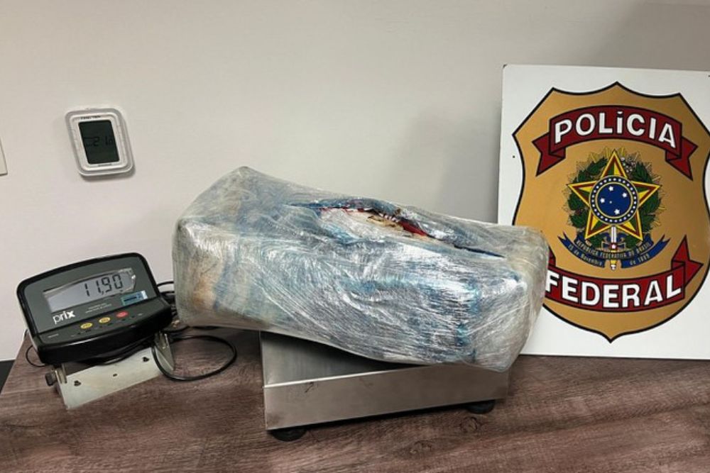Mulher é presa transportando 12 kg de skunk em mala despachada de Manaus Mulher é presa transportando 12 kg de skunk em mala despachada de Manaus