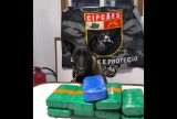 Polícia apreende mais de 10 kg de cocaína escondidos em embarcação no Amazonas