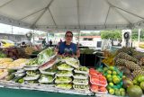 Programação das Feiras de Produtos Regionais da ADS inicia na segunda-feira com edição especial na sede da Suhab