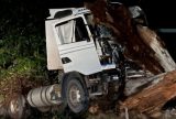 Carreta desgovernada colide em árvore e muro na zona Leste de Manaus