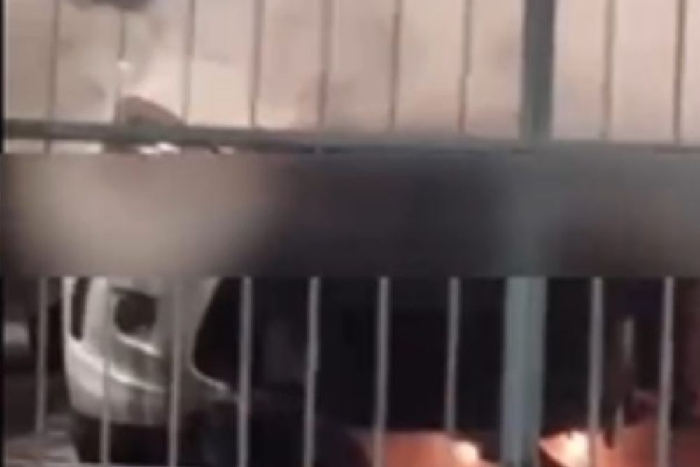Princípio de incêndio atinge loja de veículos na zona sul de Manaus Princípio de incêndio atinge loja de veículos na zona sul de Manaus