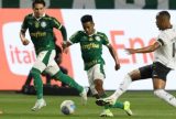 Palmeiras e Botafogo fazem duelo de atual e vice campeão do Brasileirão