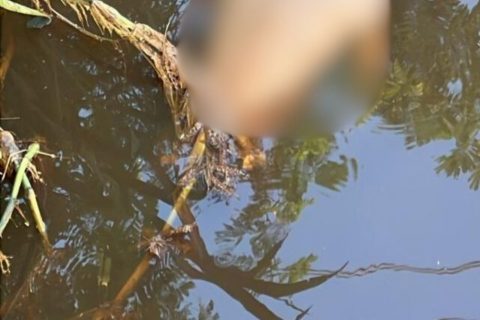 Corpo de homem é encontrado em igarapé do bairro Compensa