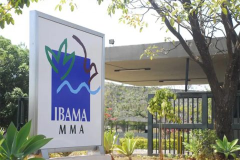 Ibama libera mais licenças ambientais para setor de óleo e gás