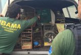 Amazonas ganha destaque no concurso do Ibama 2025 por alta concorrência