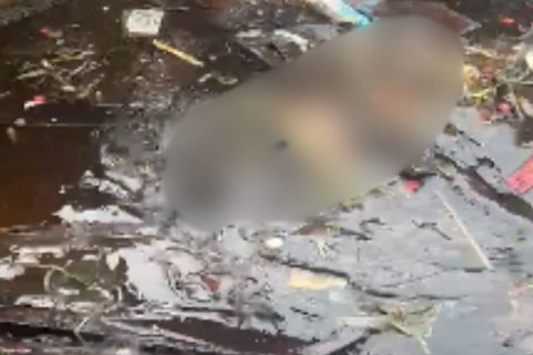 Corpo é encontrado boiando na orla do Amarelinho