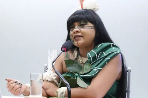 Célia Xakriabá pede que PF investigue violência em marcha indígena