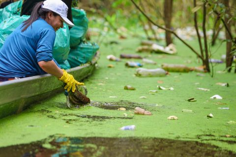 Ação do Galho Forte reúne 80 voluntários durante limpeza de Igarapé do Gigante em Manaus