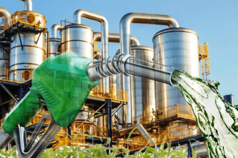 MME destaca liderança brasileira nos biocombustíveis em ano de COP30